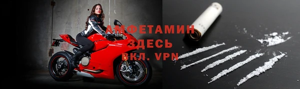 прущие грибы Богородицк