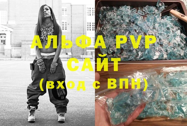 прущие грибы Богородицк