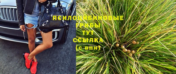 СК Богородск